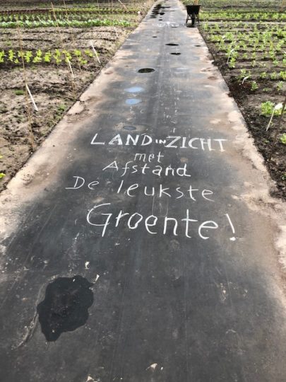 Met afstand de leukste groente